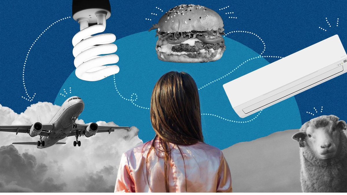 An illustration of the everyday choices that carry the most weight: flying, food, heating and light