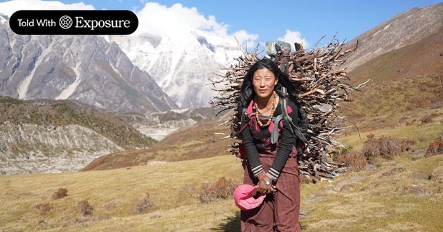A woman of Lunana carrying firewood, with the glacier behind her