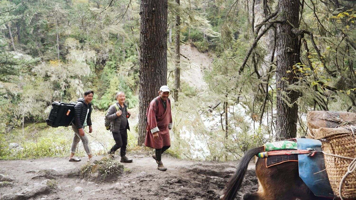 The crew of The Girl and Her Piano trekking in to Laya, Bhutan, on the five-day walk from the nearest road