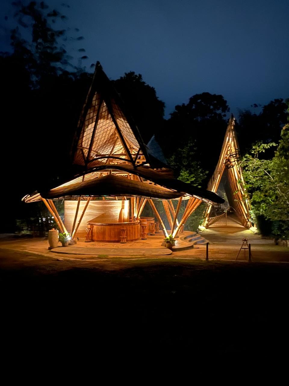 Orangutan Haven and Forest School