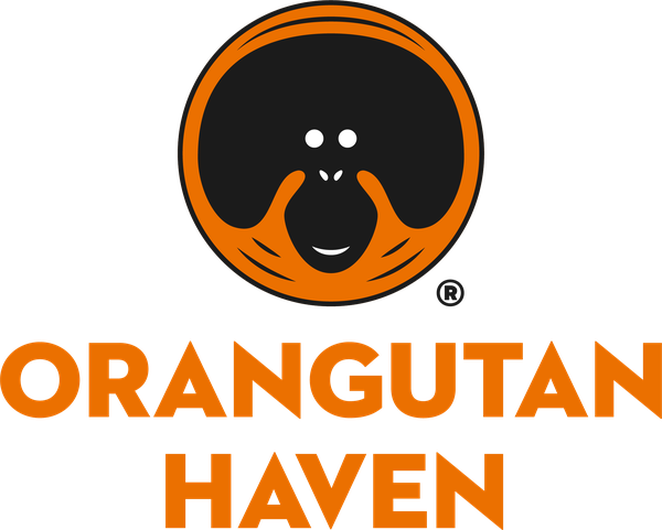 Orangutan Haven