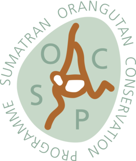 Sumatran Orangutan Conservation Programme (SOCP)